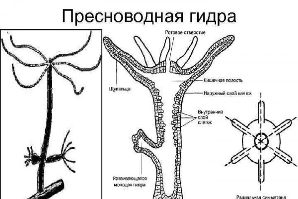 Кракен магазин зеркало