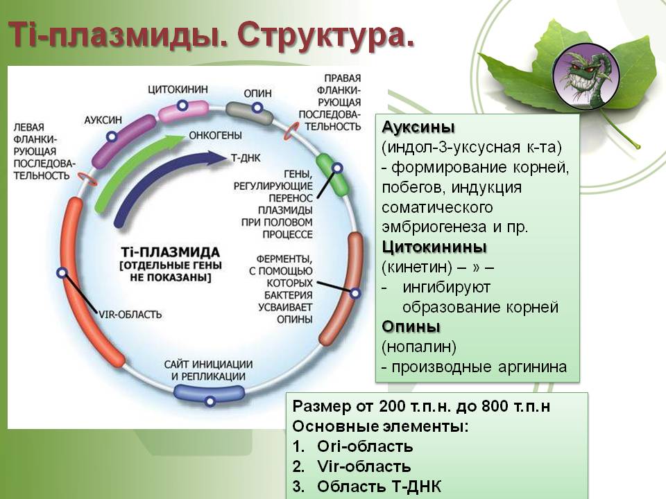 Ссылка кракен kr2web in