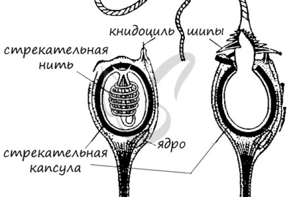 Реальная ссылка кракен